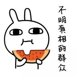 娱乐吃瓜爆款短篇,笑料连连，明星们的“幕后故事”